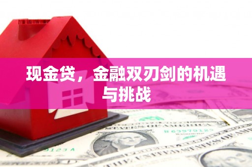 单县现金贷，金融双刃剑的机遇与挑战