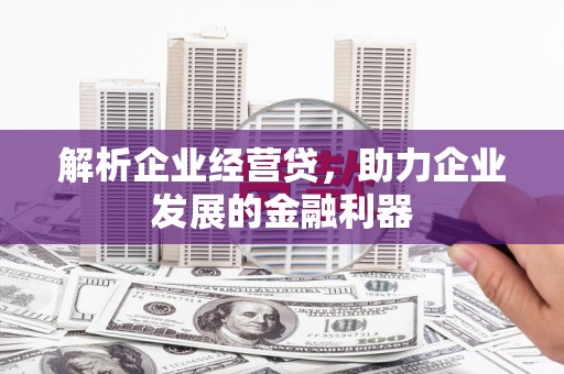 单县解析企业经营贷，助力企业发展的金融利器