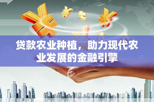 单县贷款农业种植，助力现代农业发展的金融引擎