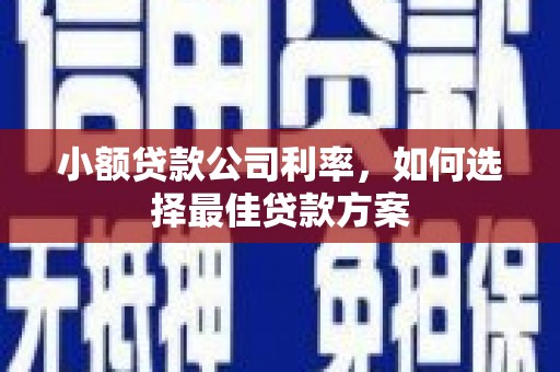 单县小额贷款公司利率，如何选择最佳贷款方案