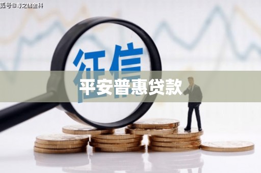 单县平安普惠贷款