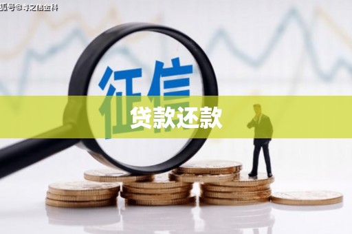 单县贷款还款