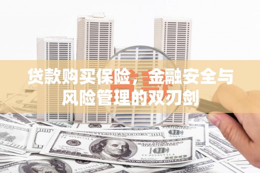 单县贷款购买保险，金融安全与风险管理的双刃剑