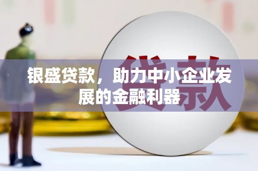 单县银盛贷款，助力中小企业发展的金融利器