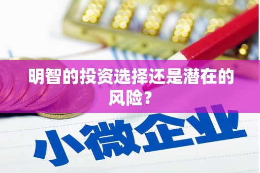 单县明智的投资选择还是潜在的风险？