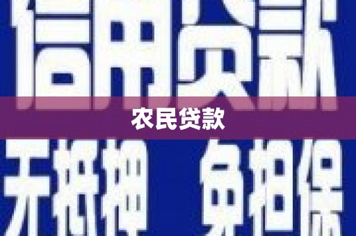 单县农民贷款