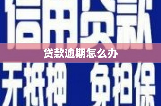 单县贷款逾期怎么办