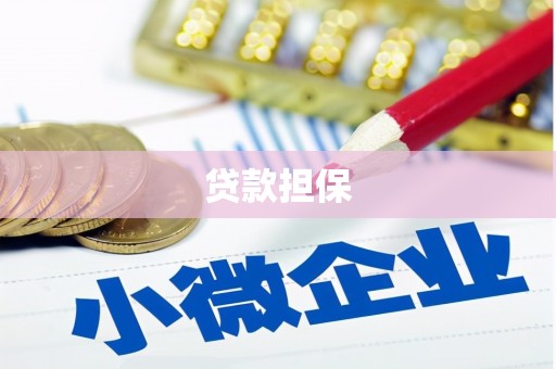单县贷款担保