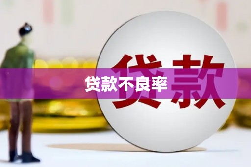 单县贷款不良率