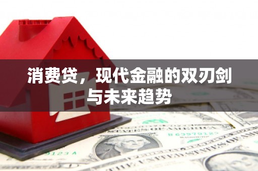 单县消费贷，现代金融的双刃剑与未来趋势