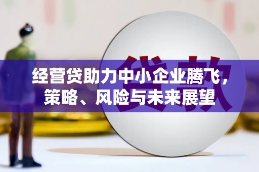 单县经营贷助力中小企业腾飞，策略、风险与未来展望