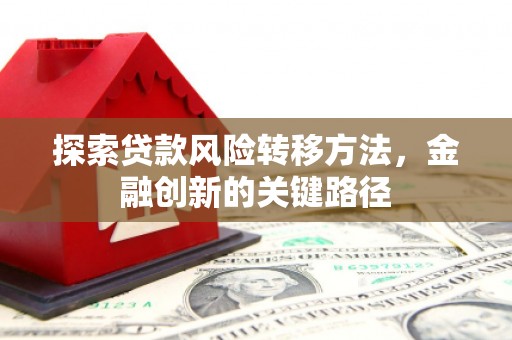 单县探索贷款风险转移方法，金融创新的关键路径