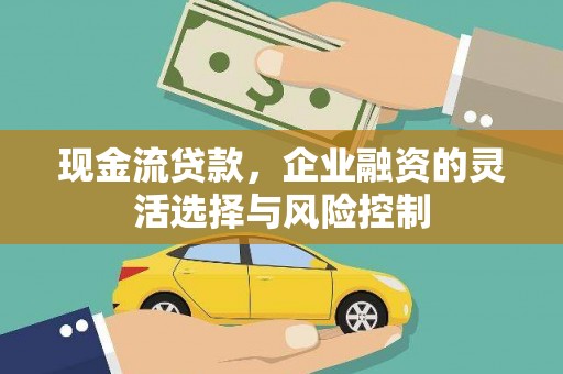 单县现金流贷款，企业融资的灵活选择与风险控制