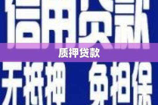 单县质押贷款