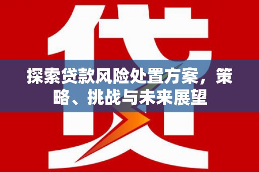 单县探索贷款风险处置方案，策略、挑战与未来展望