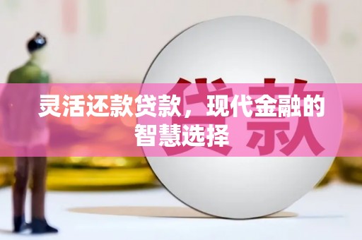单县灵活还款贷款，现代金融的智慧选择