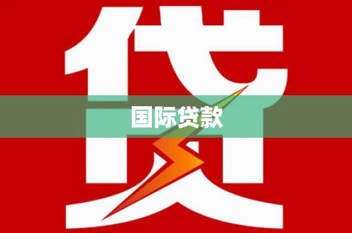 单县国际贷款