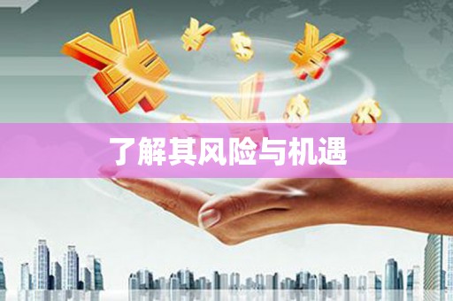 单县了解其风险与机遇