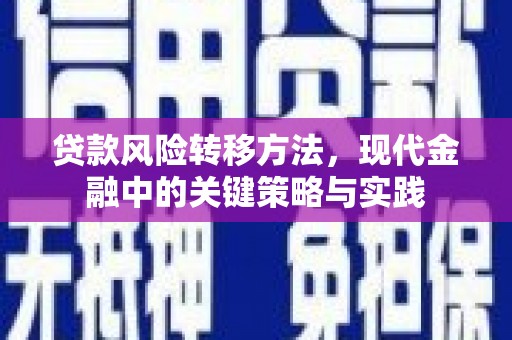 单县贷款风险转移方法，现代金融中的关键策略与实践
