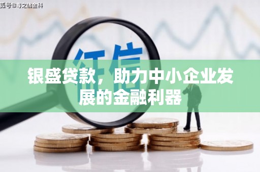 单县银盛贷款，助力中小企业发展的金融利器