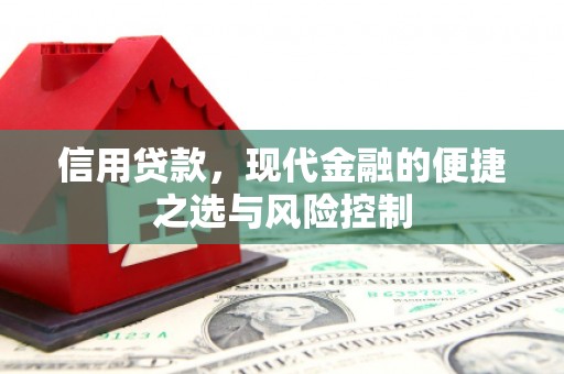单县信用贷款，现代金融的便捷之选与风险控制