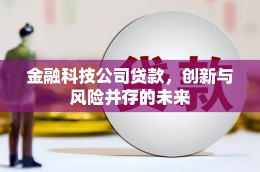 单县金融科技公司贷款，创新与风险并存的未来