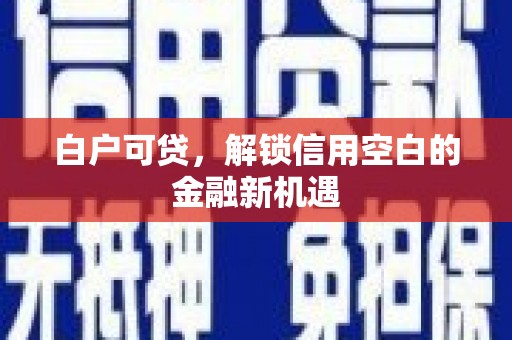 单县白户可贷，解锁信用空白的金融新机遇