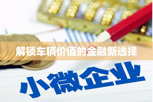 单县解锁车辆价值的金融新选择