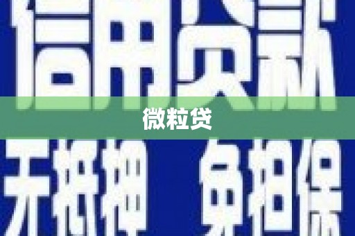 单县微粒贷