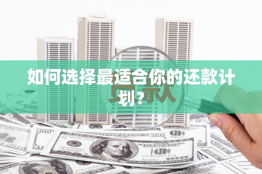 单县如何选择最适合你的还款计划？