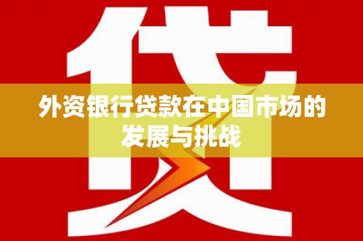 单县外资银行贷款在中国市场的发展与挑战