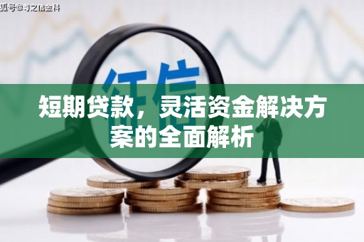 单县短期贷款，灵活资金解决方案的全面解析