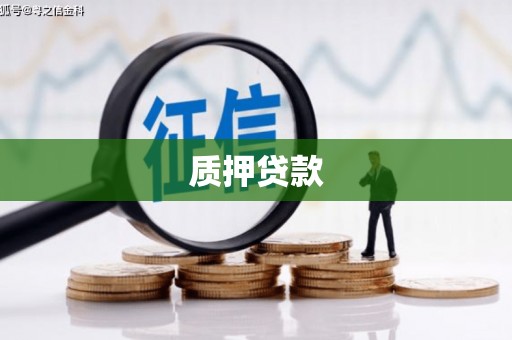 单县质押贷款
