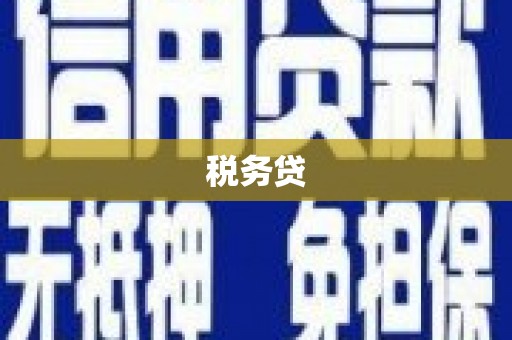 单县税务贷