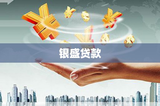 单县银盛贷款