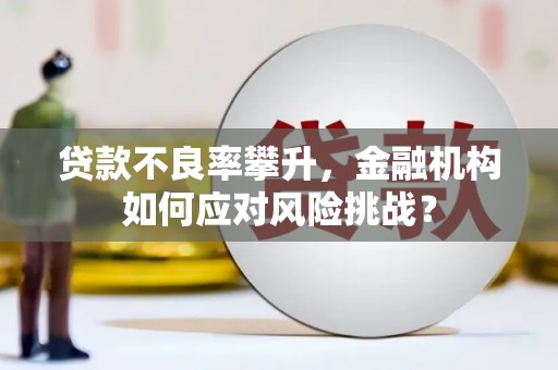 单县贷款不良率攀升，金融机构如何应对风险挑战？