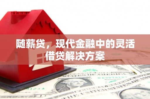 单县随薪贷，现代金融中的灵活借贷解决方案