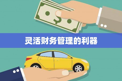 单县灵活财务管理的利器