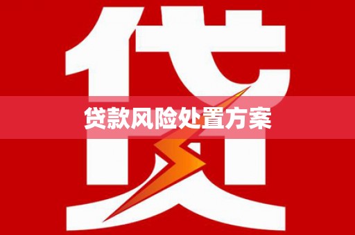单县贷款风险处置方案