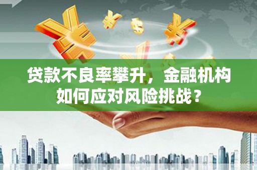 单县贷款不良率攀升，金融机构如何应对风险挑战？