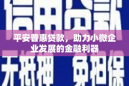 单县平安普惠贷款，助力小微企业发展的金融利器