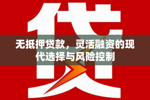 单县无抵押贷款，灵活融资的现代选择与风险控制