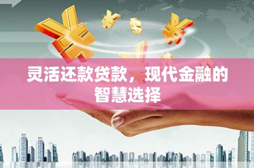 单县灵活还款贷款，现代金融的智慧选择