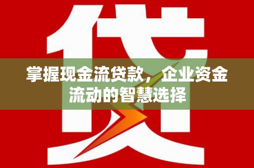 单县掌握现金流贷款，企业资金流动的智慧选择