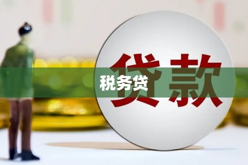 单县税务贷