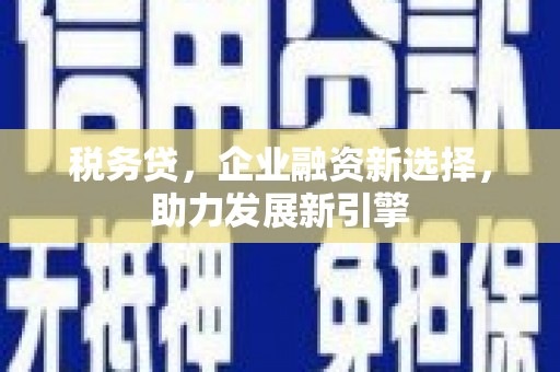 单县税务贷，企业融资新选择，助力发展新引擎