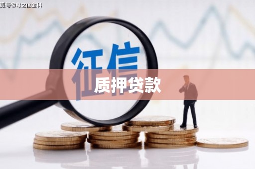 单县质押贷款