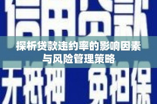 单县探析贷款违约率的影响因素与风险管理策略