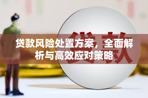 单县贷款风险处置方案，全面解析与高效应对策略