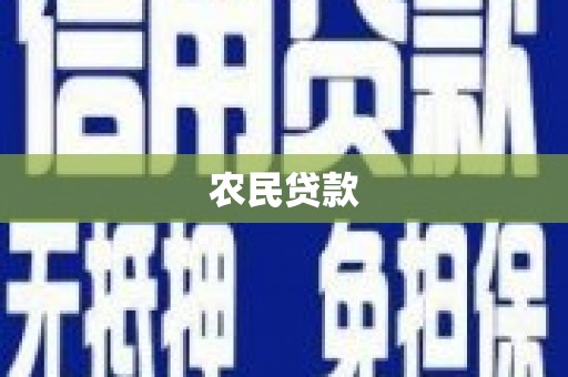 单县农民贷款